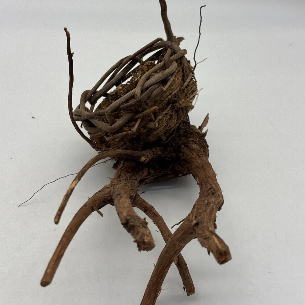 Bird nest  Garden decorations, home, floral accent, crafts, center piece